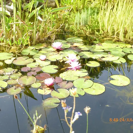 Ecolieu La Pepiniere Bed & Breakfast *