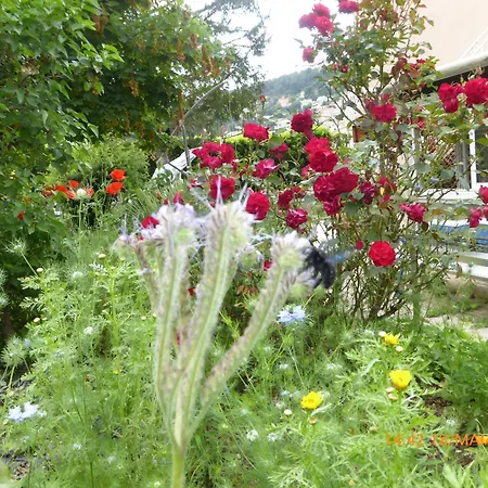 Ecolieu La Pepiniere *